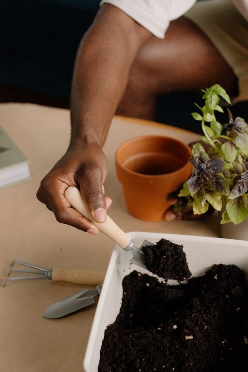 How to Start a Small Herb Garden Indoors: A Step-by-Step Guide